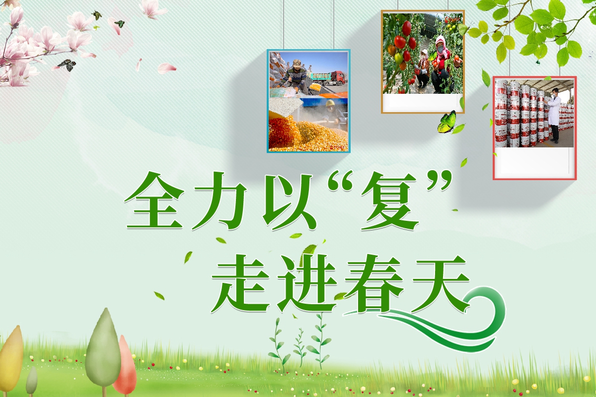 長(zhǎng)圖|全力以“復(fù)”！甘肅走進(jìn)春天里  