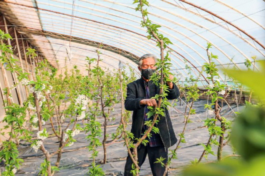 銅城復蘇：春光明媚，邀你共賞芳華（組圖）