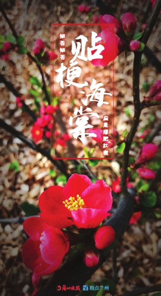 來，跟這些美美的花朵認(rèn)識一下！