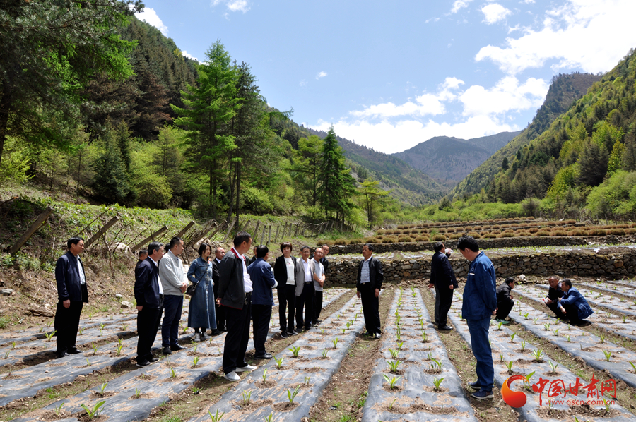 白龍江博峪河保護局開展產業(yè)發(fā)展、義務勞動成果現(xiàn)場觀摩交流活動