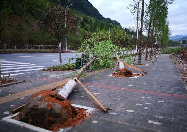 刮風下雨加速新冠病毒傳播？別信！