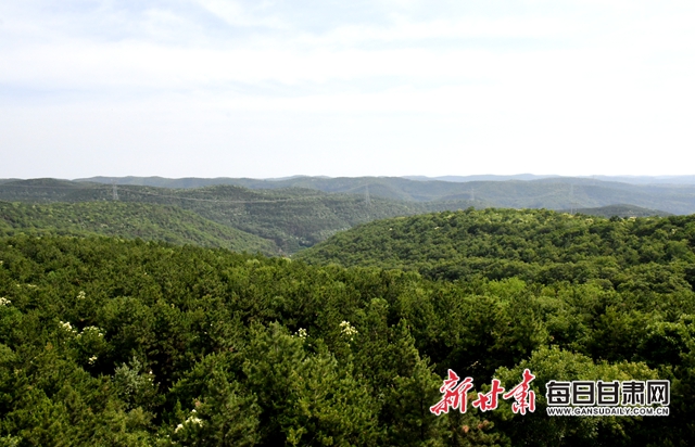 【甘肅生態(tài)環(huán)保媒體行】子午嶺深處，一家三代人用生命守護(hù)黃土高原的“天然生態(tài)屏障”