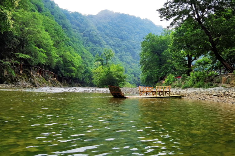 【小隴畫報(bào)·95期】康縣：來陽壩，“森”呼吸，我“氧”你