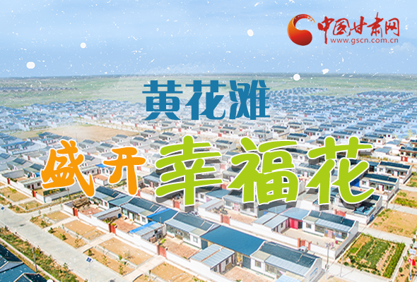【跟著總書記看甘肅】長圖|武威黃花灘盛開幸?；?
