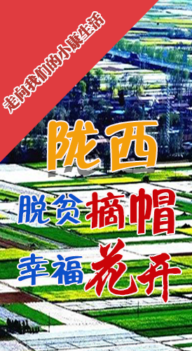 【走向我們的小康生活】長圖|隴西：脫貧摘帽 幸?；ㄩ_