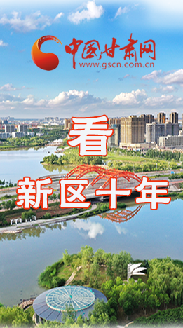 圖解|崛起！新區(qū)十年