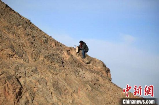 圖為敦煌“80后”畫家張杰龍在敦煌三危山里采集礦石顏料。(資料圖)受訪者供圖