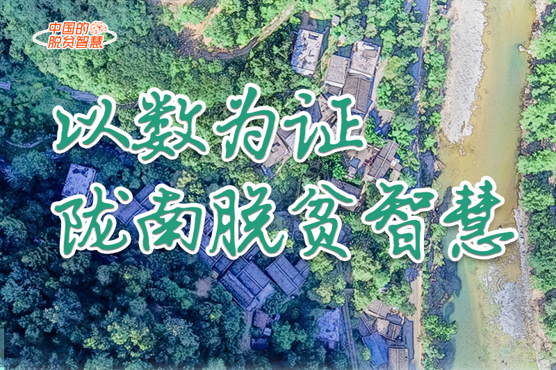 【中國的脫貧智慧】以數(shù)為證！隴南脫貧智慧來了！
