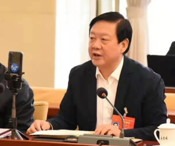 【聚焦2021全國兩會】全國人大代表、市委書記楊維俊接受中國日報記者采訪