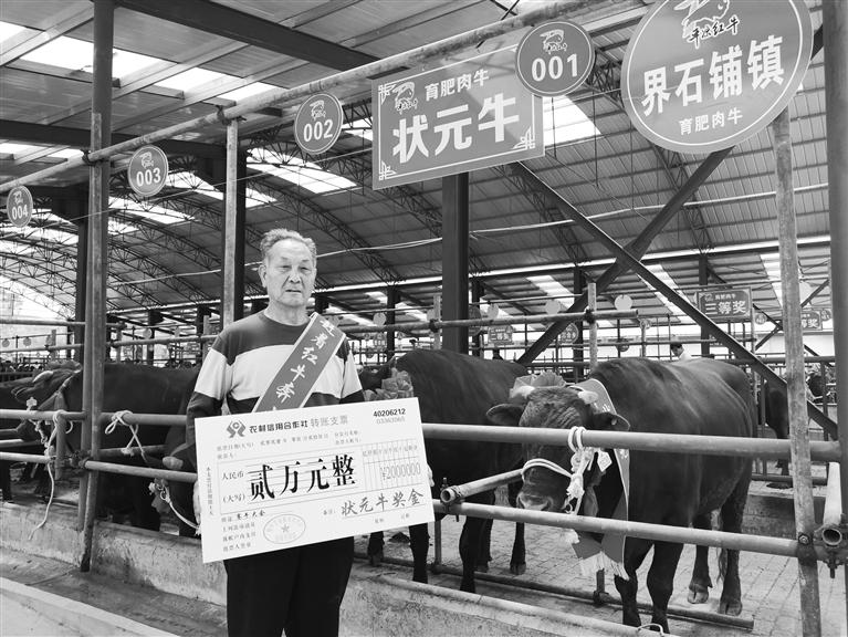 120頭“平涼紅?！膘o寧爭霸