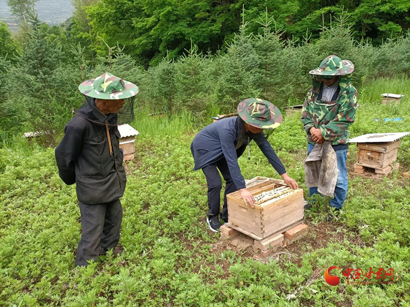 宕昌好梯鄉(xiāng)：念好產業(yè)經 奔向小康路