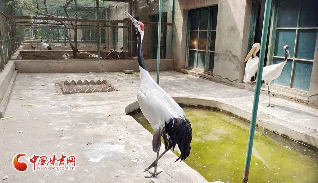 蘭州公安提醒市民：非緊急非必要，不出境