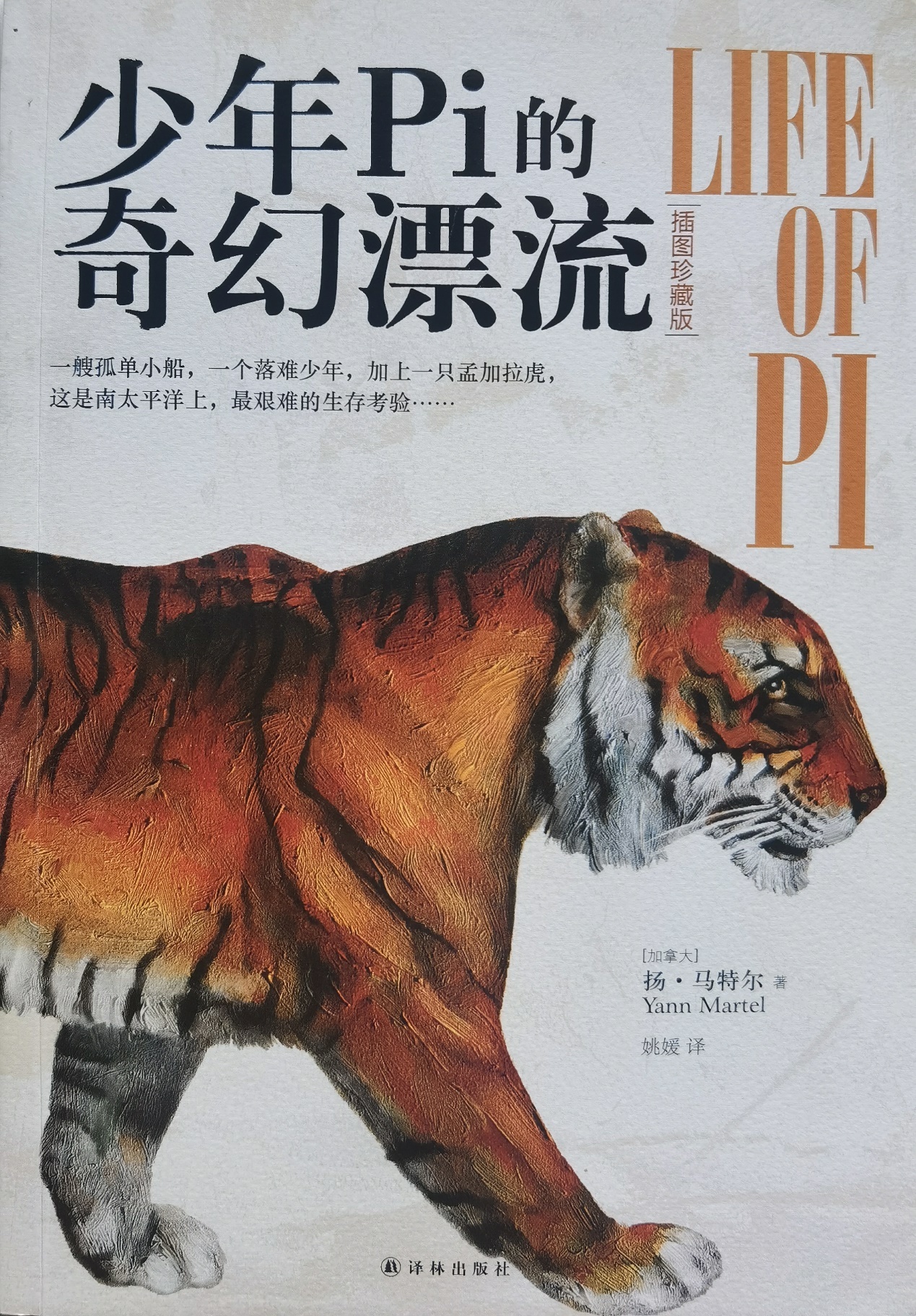 插圖1：揚(yáng)？馬特爾的小說《少年pi的奇幻漂流》封面