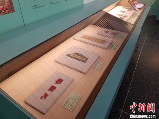 圖為展覽現(xiàn)場?！《鼗脱芯吭汗﹫D