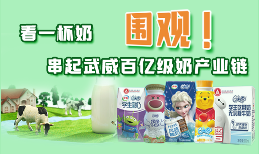 圖解|圍觀！看一杯奶串起武威百億級(jí)奶產(chǎn)業(yè)鏈