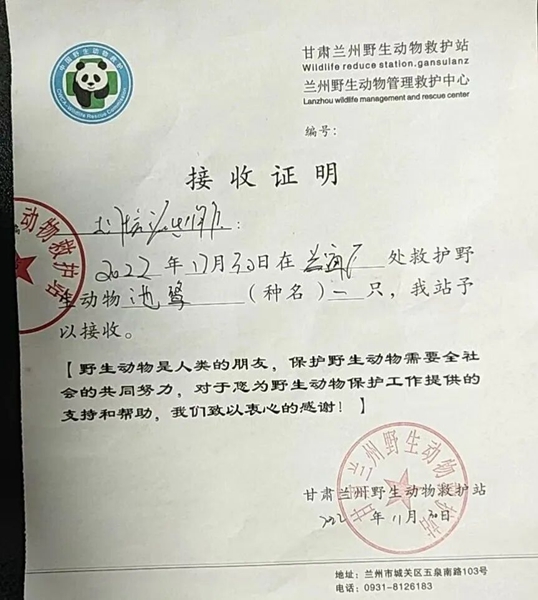 受到救助的池鷺被蘭州野生動物保護站接收。（蘭州市公安局七里河分局供圖）