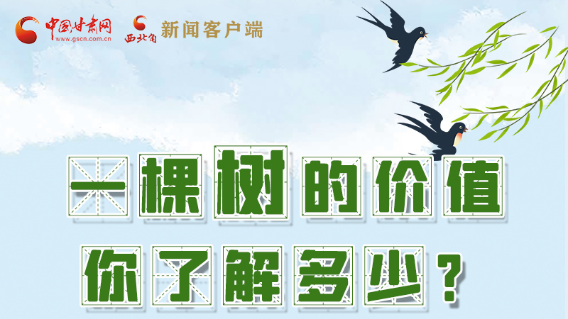 圖解|一棵樹的價值你了解多少?來看！