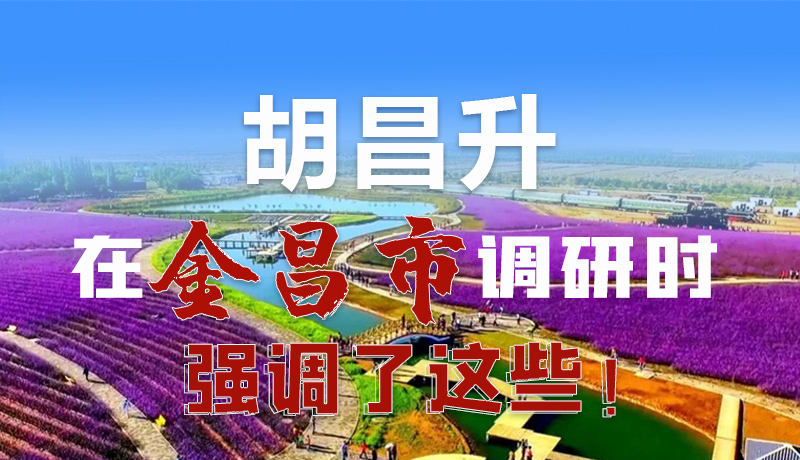 圖解|胡昌升在金昌市調(diào)研時強調(diào)了這些！