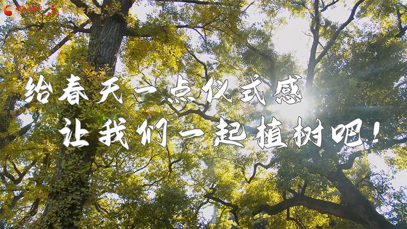 短視頻|給春天一點(diǎn)儀式感，讓我們一起植樹吧！