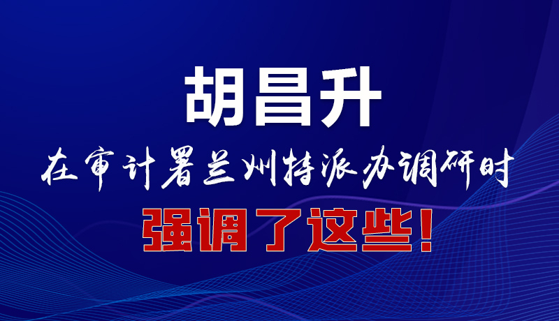 圖解|胡昌升在審計署蘭州特派辦調(diào)研時強調(diào)了這些！