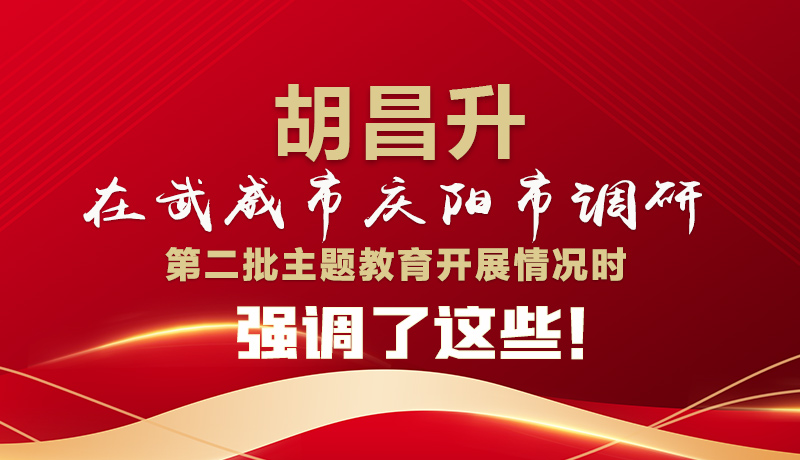 圖解|胡昌升在武威市慶陽市調(diào)研第二批主題教育開展情況時強(qiáng)調(diào)了這些！