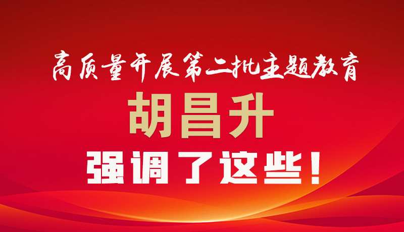 圖解|高質(zhì)量開展第二批主題教育 胡昌升強(qiáng)調(diào)了這些！