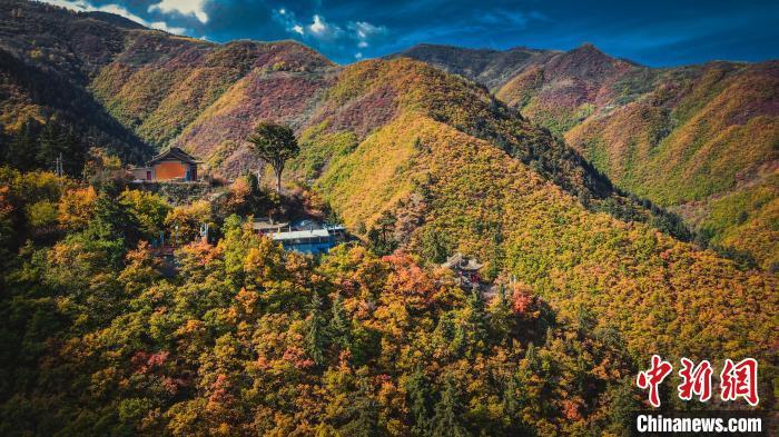 深秋，位于蘭州市榆中縣的興隆山，似打翻調(diào)色板。金峯 攝