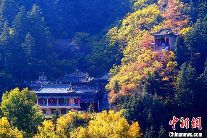 深秋，位于蘭州市榆中縣的興隆山景色如畫(huà)。宮衛(wèi)紅 攝