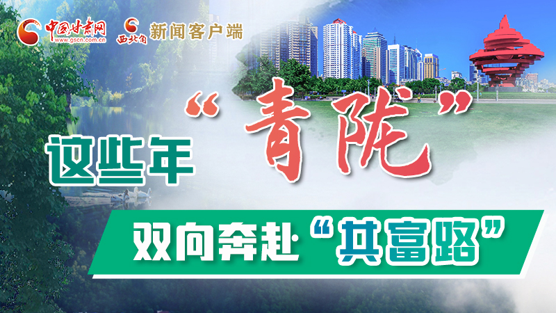 【江河奔流·青隴協作譜新篇】這些年，“青隴”雙向奔赴“共富路”