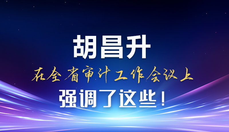 圖解|胡昌升在全省審計工作會議上強調(diào)了這些！