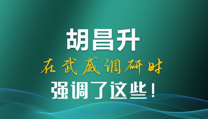 圖解|胡昌升在武威調研時強調了這些！