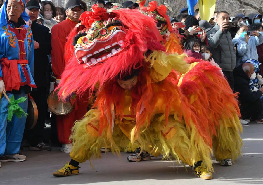 蘭州北獅表演現(xiàn)場(chǎng)。受訪者供圖
